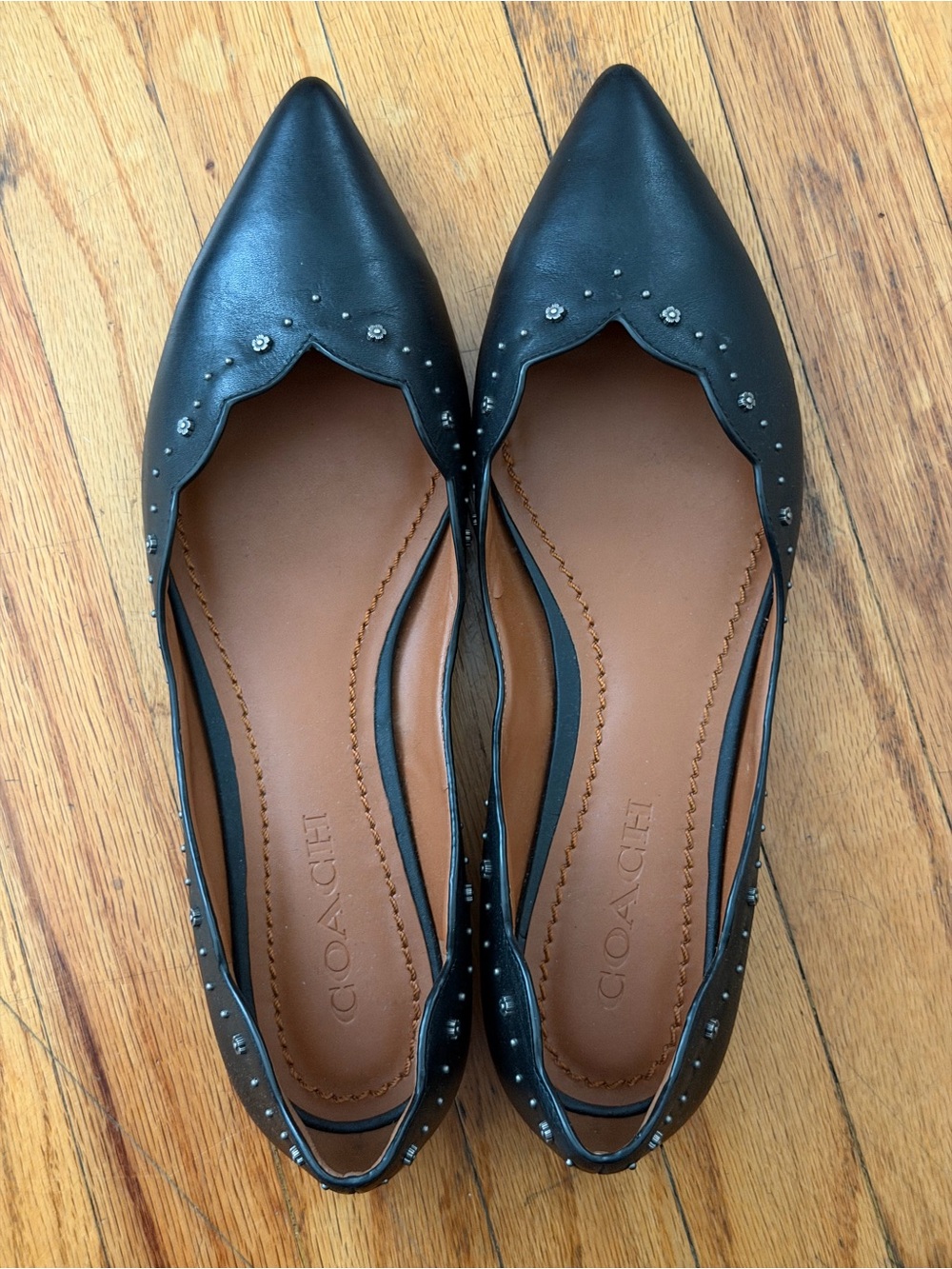 Coach Black Pointed-Toe Studded Flats